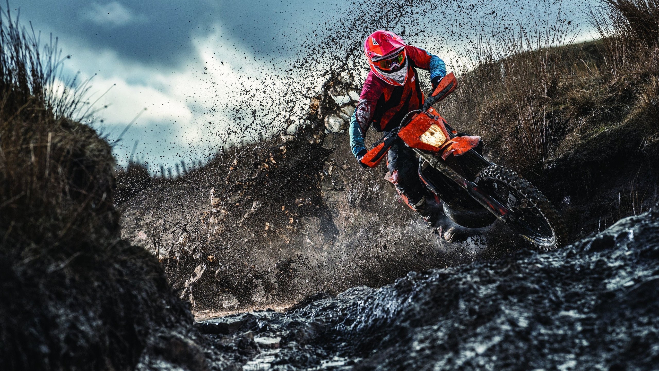 公牛队全员齐心，迎接未来挑战